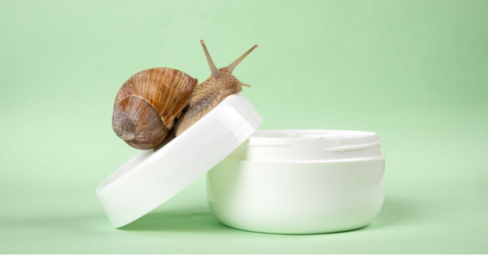 Is Snail Mucin Good For Oily Skin?